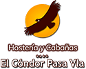 El Condor Pasa VLA